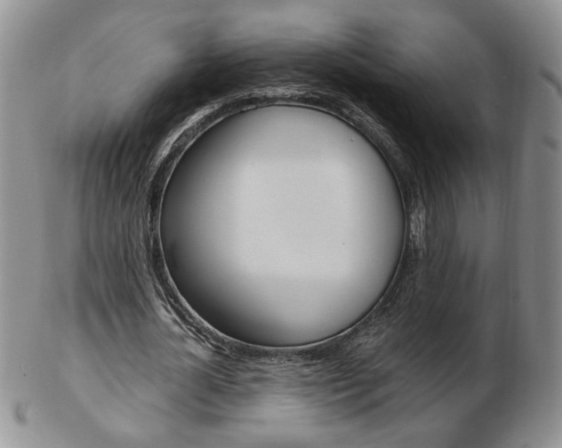 X0000103130724200808221040