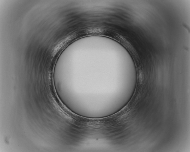 X0000103130725200808221040