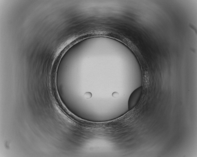 X0000103130726200808221041