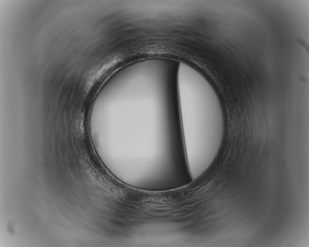 X0000103130727200808221041