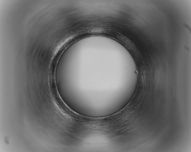 X0000103130728200808221041