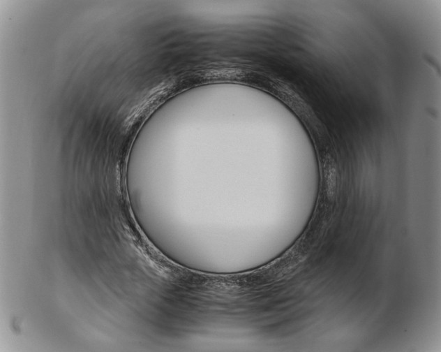 X0000103130729200808221041