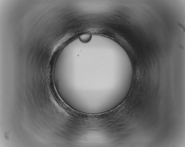 X0000103130730200808221041