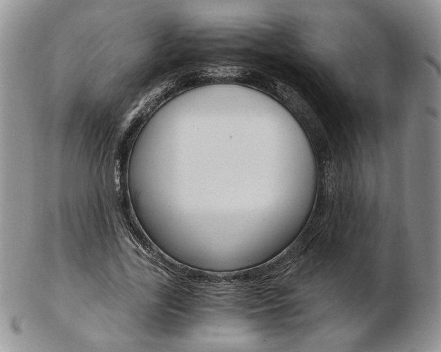 X0000103130731200808221041