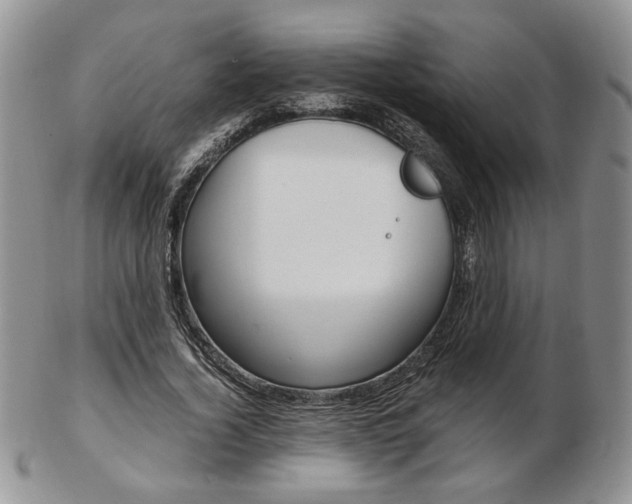 X0000103130732200808221041