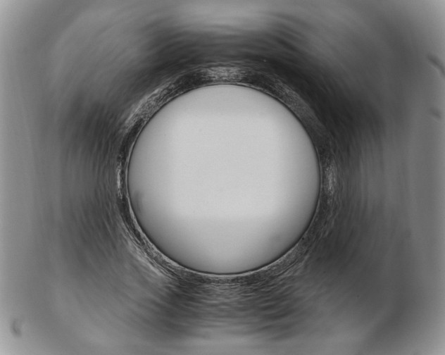 X0000103130733200808221041