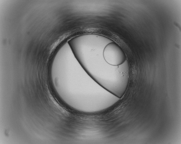 X0000103130734200808221041