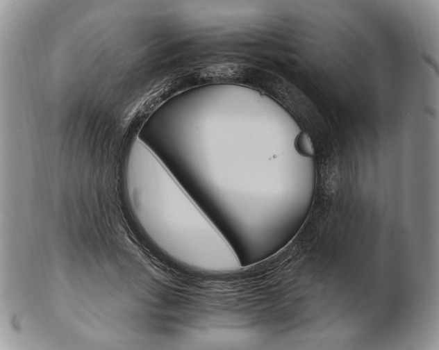X0000103130735200808221041