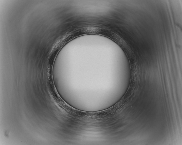 X0000103130736200808221041