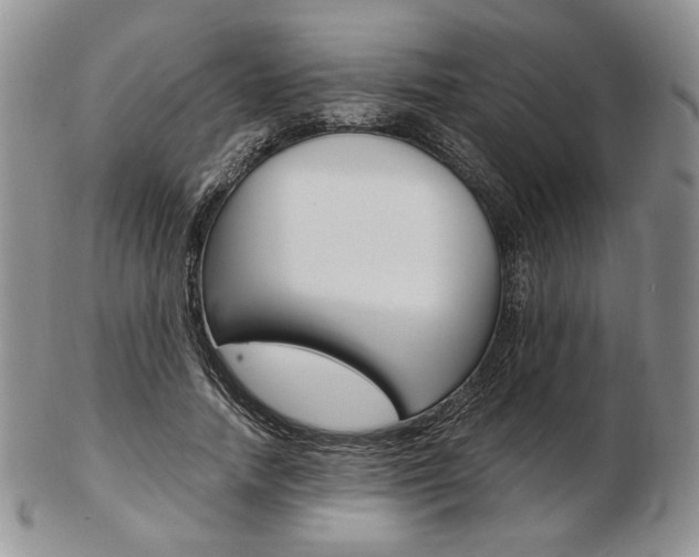X0000103130738200808221041