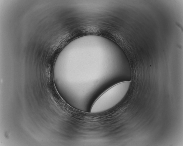X0000103130739200808221041