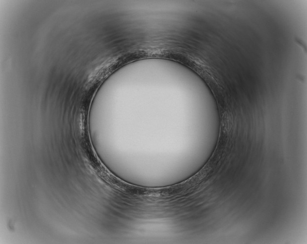 X0000103130740200808221041