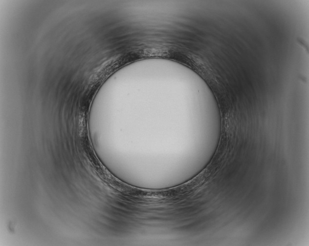 X0000103130741200808221041