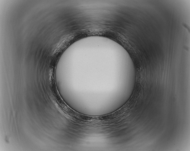 X0000103130742200808221041