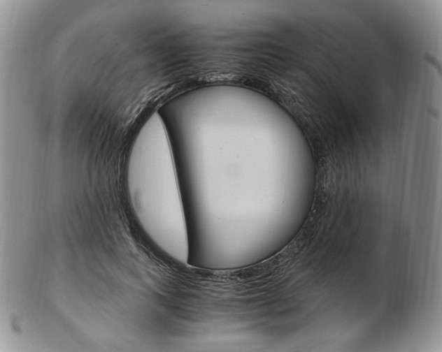 X0000103130743200808221041