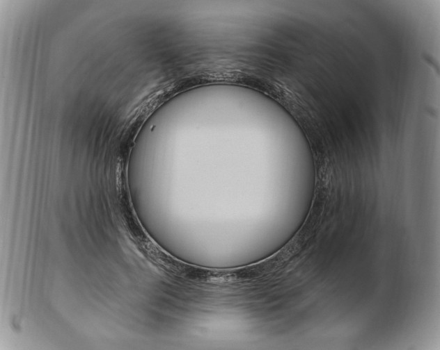 X0000103130744200808221041