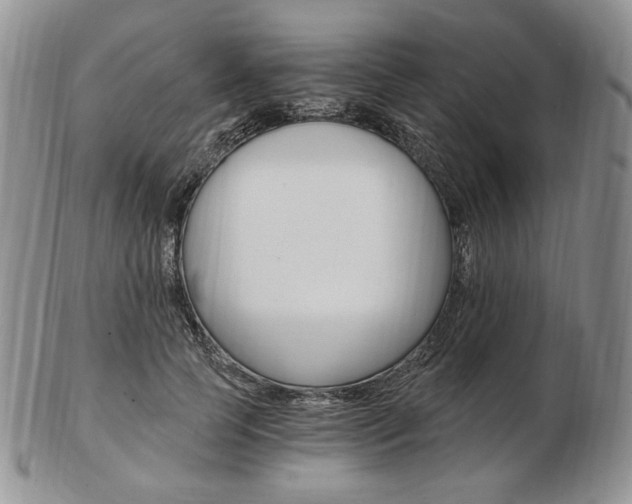 X0000103130745200808221041