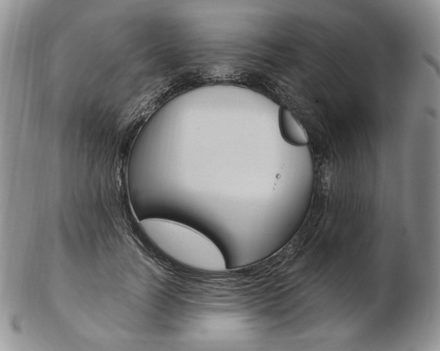 X0000103130746200808221041