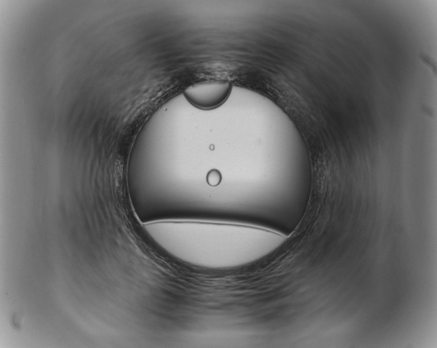 X0000103130747200808221041