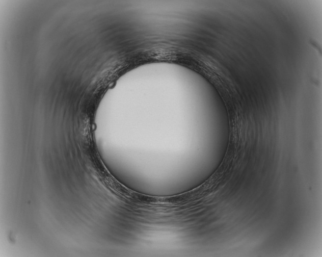 X0000103130748200808221041