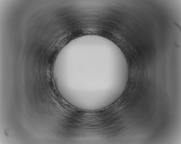 X0000103130749200808221041