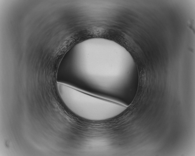 X0000103130750200808221041