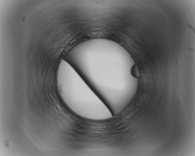 X0000103130751200808221041