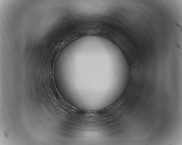 X0000103130752200808221041