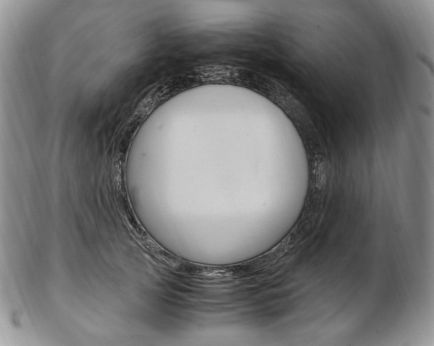 X0000103130753200808221041
