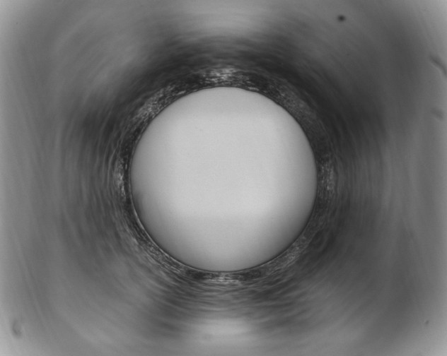 X0000103130754200808221041