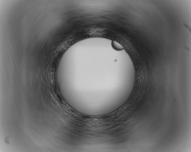 X0000103130755200808221041
