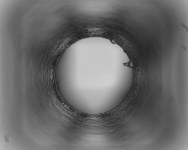 X0000103130756200808221041