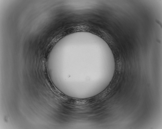 X0000103130757200808221041