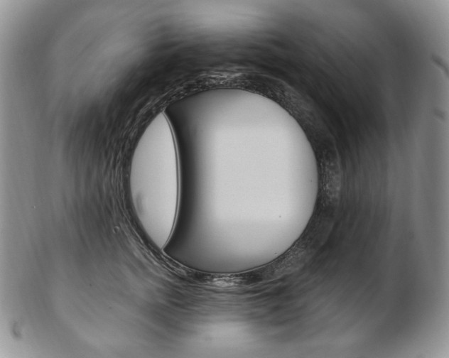 X0000103130758200808221041