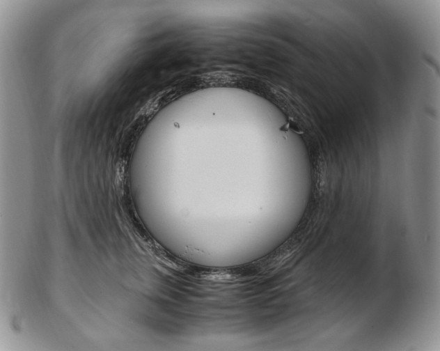 X0000103130759200808221041