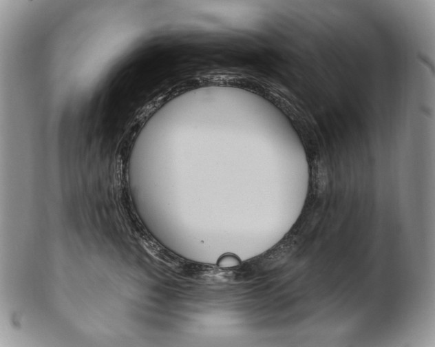 X0000103130760200808221041