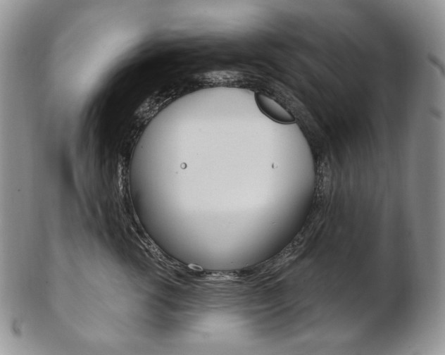 X0000103130762200808221041