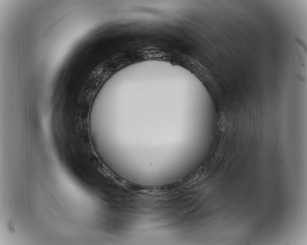 X0000103130763200808221041
