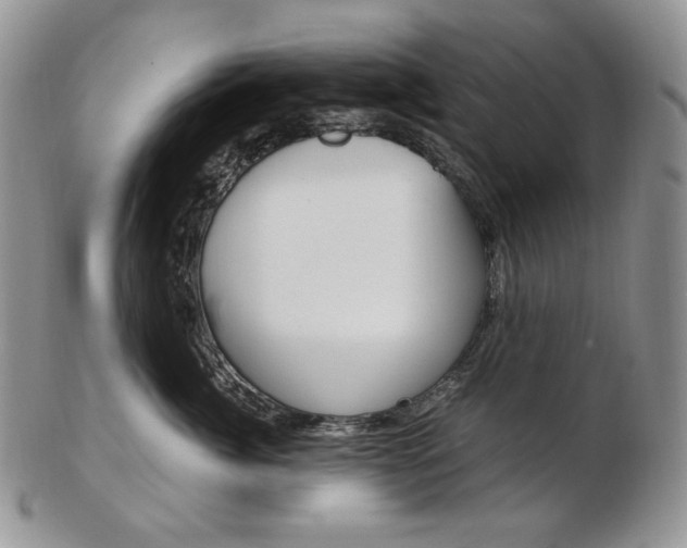 X0000103130764200808221041