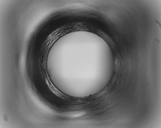 X0000103130765200808221041