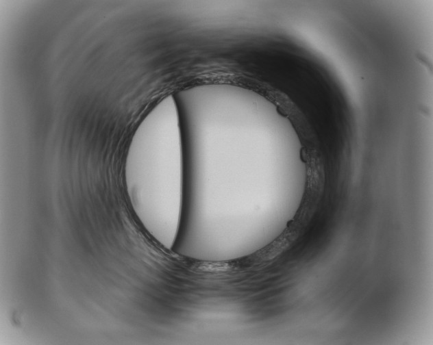 X0000103130767200808221041