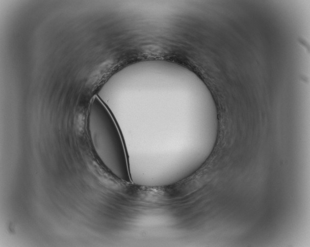 X0000103130768200808221041