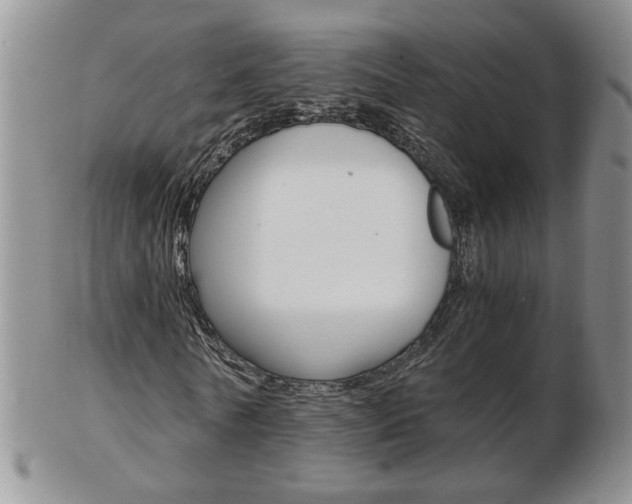 X0000103130770200808221040