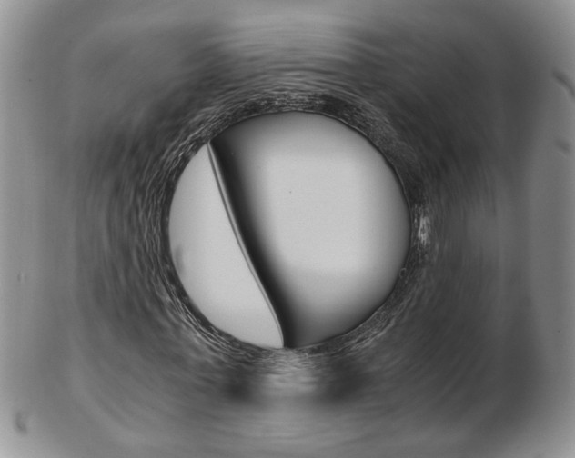 X0000103130771200808221040