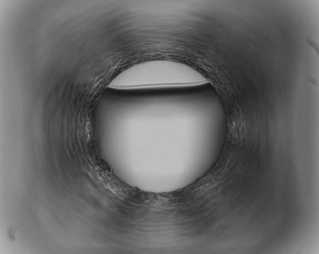 X0000103130772200808221040