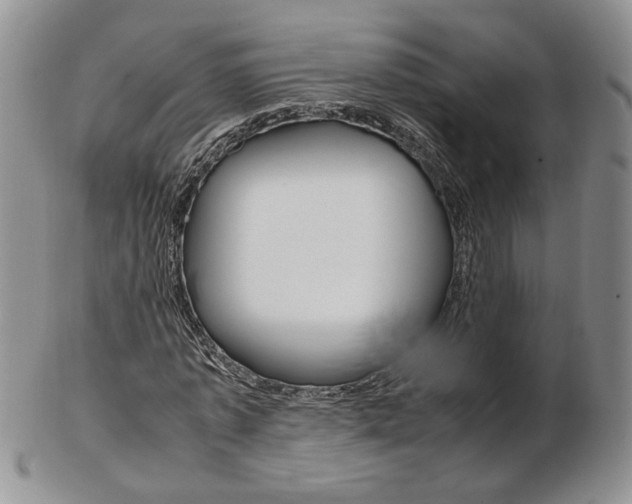 X0000103130773200808221040