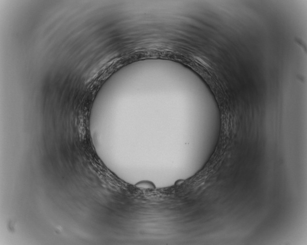 X0000103130774200808221040