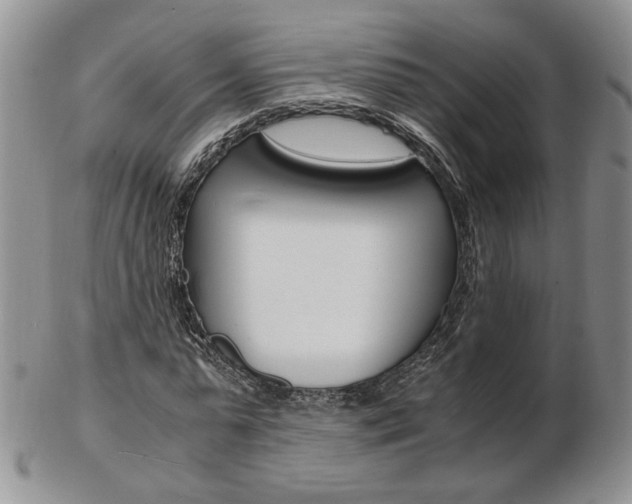 X0000103130775200808221040