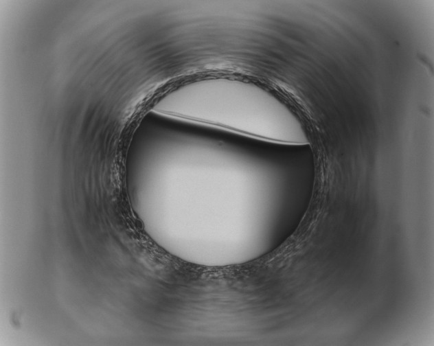 X0000103130776200808221040