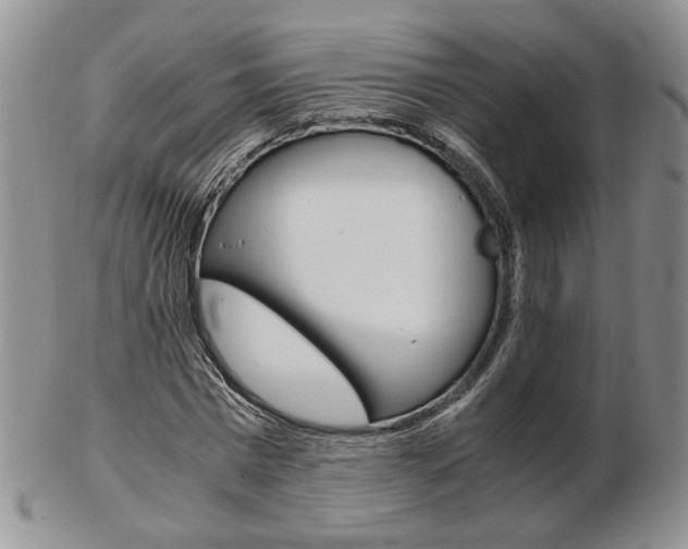 X0000103130777200808221040